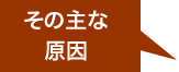 その主な原因